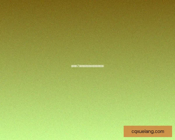 无双大蛇Z安装教程详解从下载到运行全流程指南